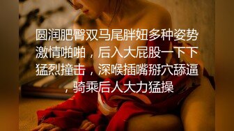 圆润肥臀双马尾胖妞多种姿势激情啪啪，后入大屁股一下下猛烈撞击，深喉插嘴掰穴舔逼，骑乘后人大力猛操