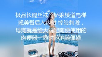 极品长腿丝袜淫娇娘楼道电梯 翘美臀后入内射 惊险刺激，母狗就是给大鸡吧随便使用的肉便器，随时随地随便操