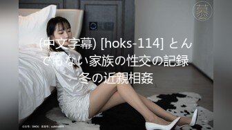 (中文字幕) [hoks-114] とんでもない家族の性交の記録 冬の近親相姦