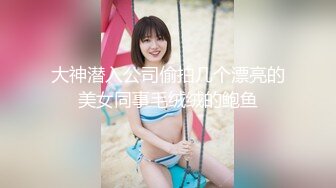 大神潜入公司偷拍几个漂亮的美女同事毛绒绒的鲍鱼