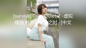 [survive] Twin Quiet 2 -虚拟侵蚀 被邪恶浸染之时- [中文字幕]