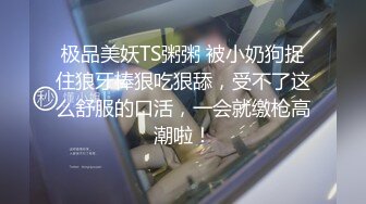 极品美妖TS粥粥 被小奶狗捉住狼牙棒狠吃狠舔，受不了这么舒服的口活，一会就缴枪高潮啦！