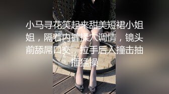 小马寻花笑起来甜美短裙小姐姐，隔着内裤揉穴调情，镜头前舔屌口交，拉手后入撞击抽插猛操